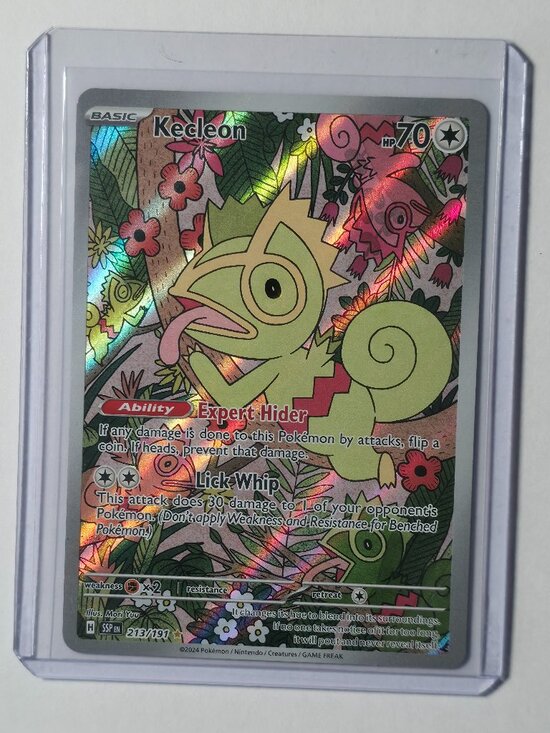 Pokémon Other - Pokémon TCG - Kecleon - Surging Sparks - Illustration Rare - 213/191